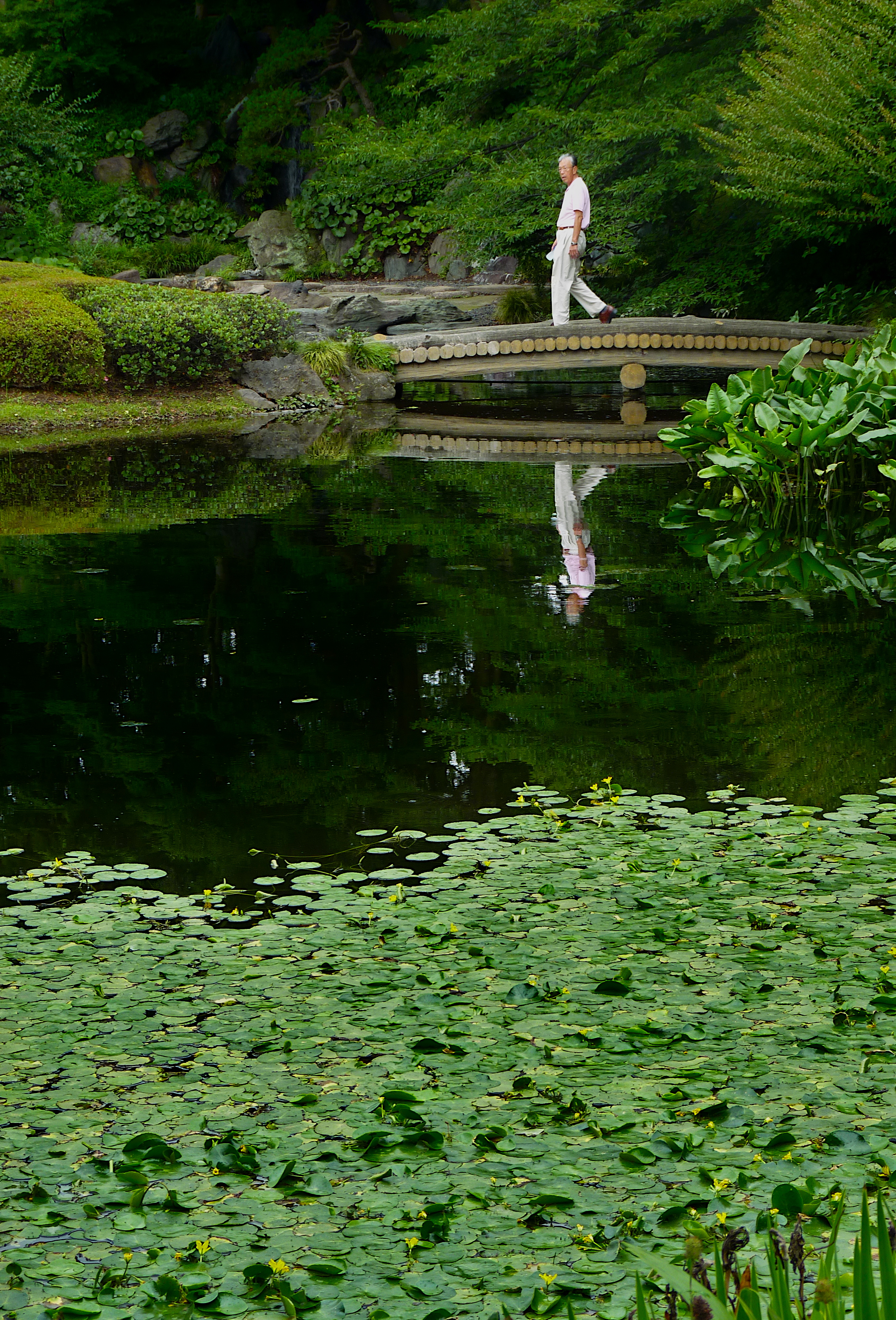 Man crossing a pond on a small bridge